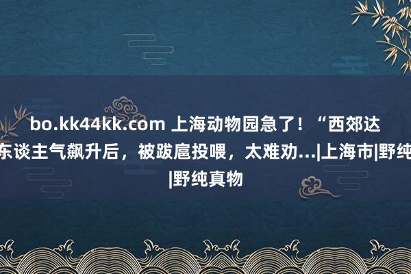 bo.kk44kk.com 上海动物园急了！“西郊达菲”东谈主气飙升后，被跋扈投喂，太难劝...|上海市|野纯真物