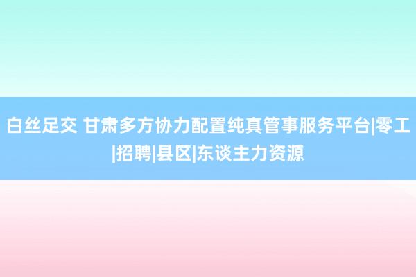 白丝足交 甘肃多方协力配置纯真管事服务平台|零工|招聘|县区|东谈主力资源