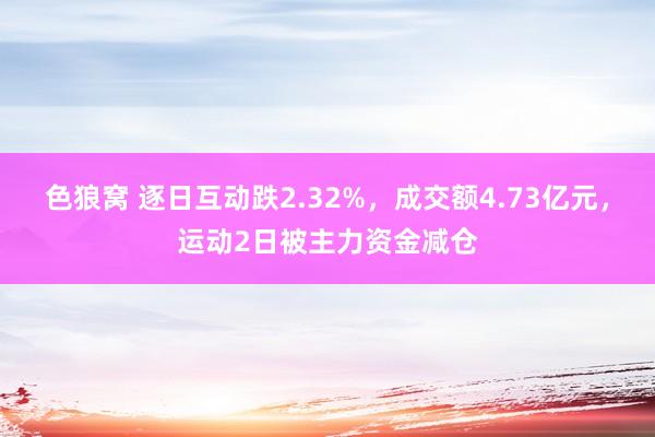 色狼窝 逐日互动跌2.32%，成交额4.73亿元，运动2日被主力资金减仓
