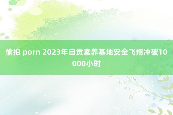 偷拍 porn 2023年自贡素养基地安全飞翔冲破10000小时