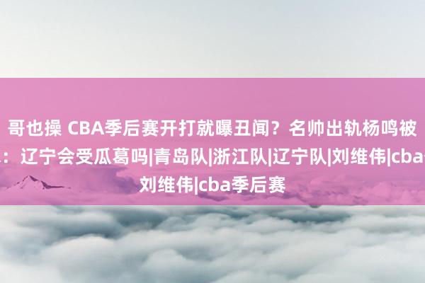 哥也操 CBA季后赛开打就曝丑闻？名帅出轨杨鸣被拉下水：辽宁会受瓜葛吗|青岛队|浙江队|辽宁队|刘维伟|cba季后赛