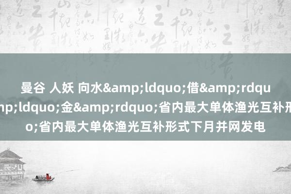 曼谷 人妖 向水&ldquo;借&rdquo;光  渔光生&ldquo;金&rdquo;省内最大单体渔光互补形式下月并网发电