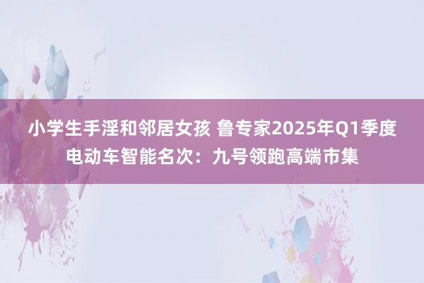 小学生手淫和邻居女孩 鲁专家2025年Q1季度电动车智能名次：九号领跑高端市集