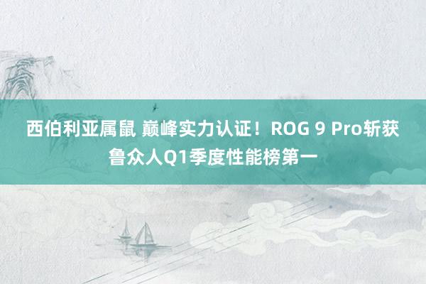 西伯利亚属鼠 巅峰实力认证！ROG 9 Pro斩获鲁众人Q1季度性能榜第一