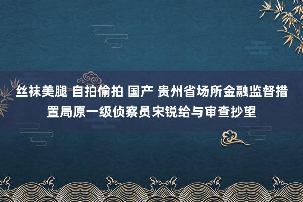 丝袜美腿 自拍偷拍 国产 贵州省场所金融监督措置局原一级侦察员宋锐给与审查抄望