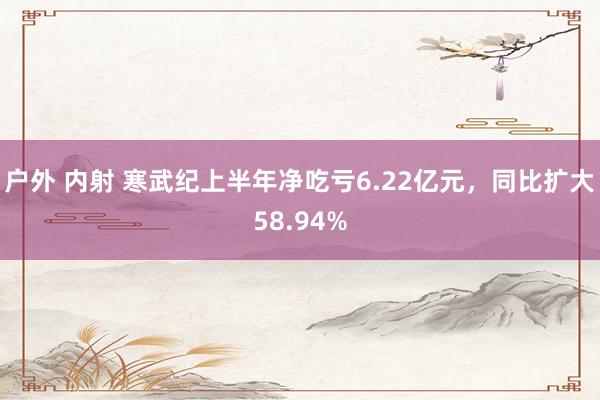 户外 内射 寒武纪上半年净吃亏6.22亿元，同比扩大58.94%