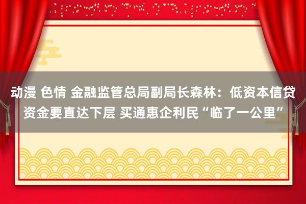 动漫 色情 金融监管总局副局长森林：低资本信贷资金要直达下层 买通惠企利民“临了一公里”