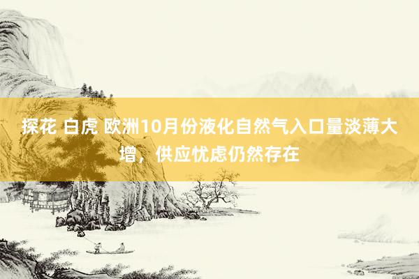 探花 白虎 欧洲10月份液化自然气入口量淡薄大增，供应忧虑仍然存在