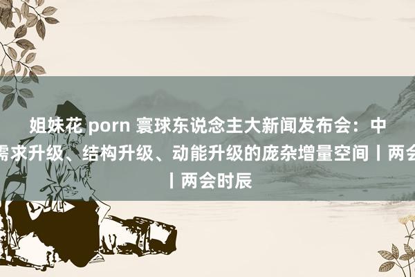 姐妹花 porn 寰球东说念主大新闻发布会：中国有需求升级、结构升级、动能升级的庞杂增量空间丨两会时辰